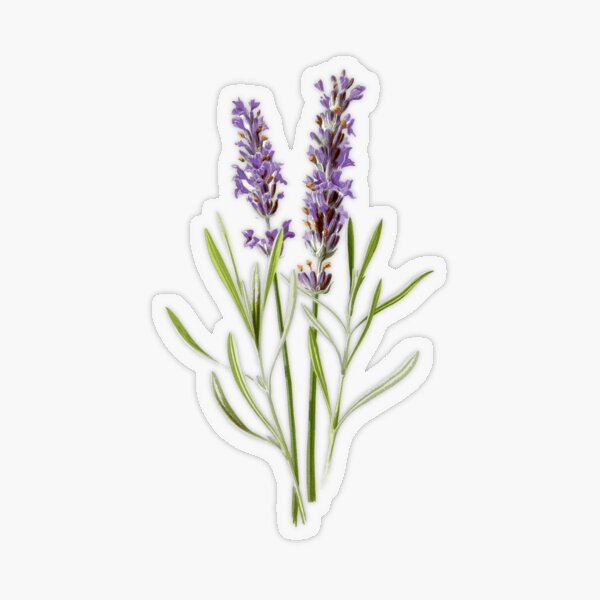 Lavender and Citrine Sticker for Sale by Aspen Workman