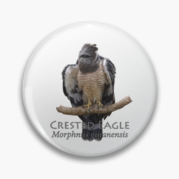 Item preview, Crested eagle designed and sold by The Sleepy Monito.