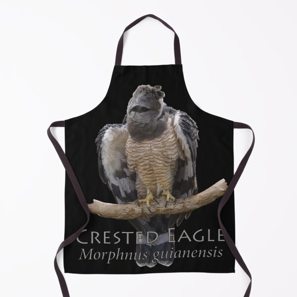 Item preview, Crested eagle designed and sold by The Sleepy Monito.