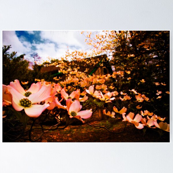 Item preview, Dog Flower Ranch designed and sold by Jason Howell.