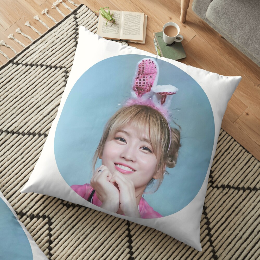 momo pillow pet