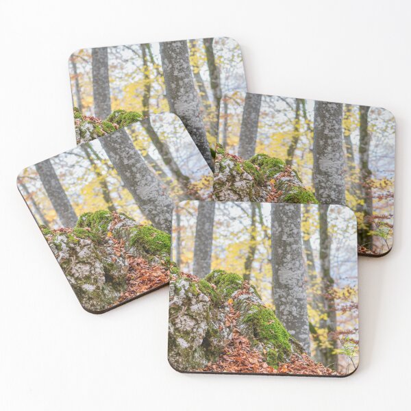 Artikelvorschau, Waldlandschaft entworfen und verkauft von Design for all.