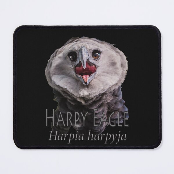 Item preview, Harpy eagle designed and sold by The Sleepy Monito.