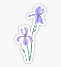 two elegant purple iris watercolor Sticker