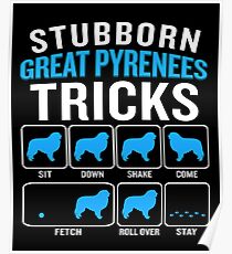 Stubborn Great Pyrenees Tricks Funny Sarcastic Poster