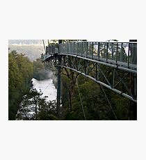 Tahune Forest Airwalk, Tasmania Photographic Print