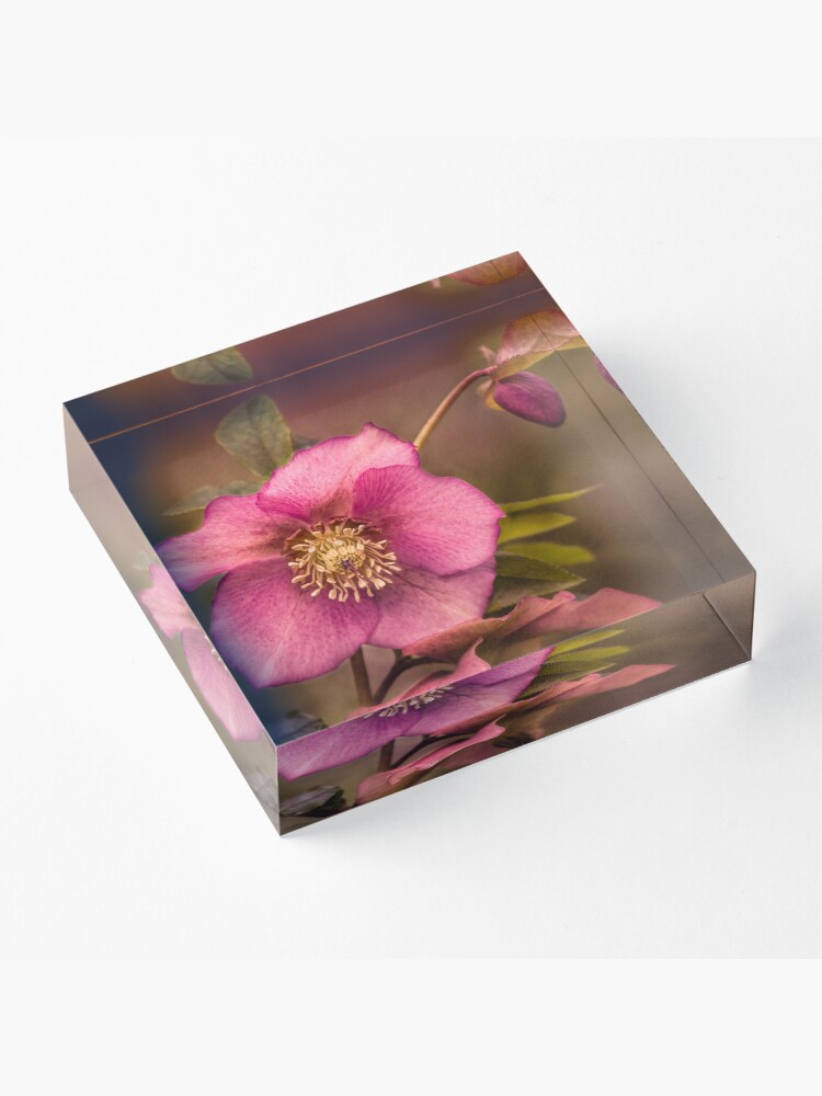 Alternate view of Christmas Rose Acrylic Block