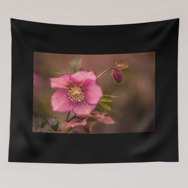 Item preview, Christmas Rose designed and sold by Sara Sadler.