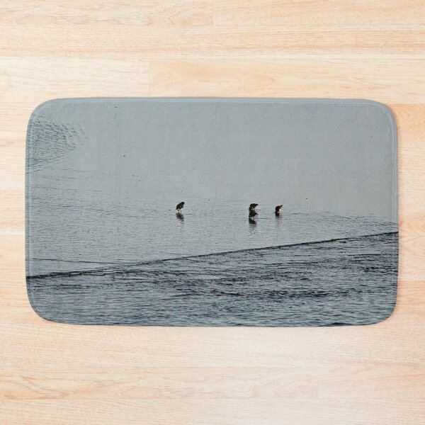 Item preview, Sandpipers Turnstones at the Beach Coastal Birds Sea Shore designed and sold by Anna Lemos.