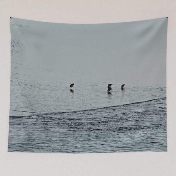 Item preview, Sandpipers Turnstones at the Beach Coastal Birds Sea Shore designed and sold by Anna Lemos.