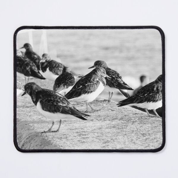Item preview, Birds and People relaxing at the beach designed and sold by Anna Lemos.