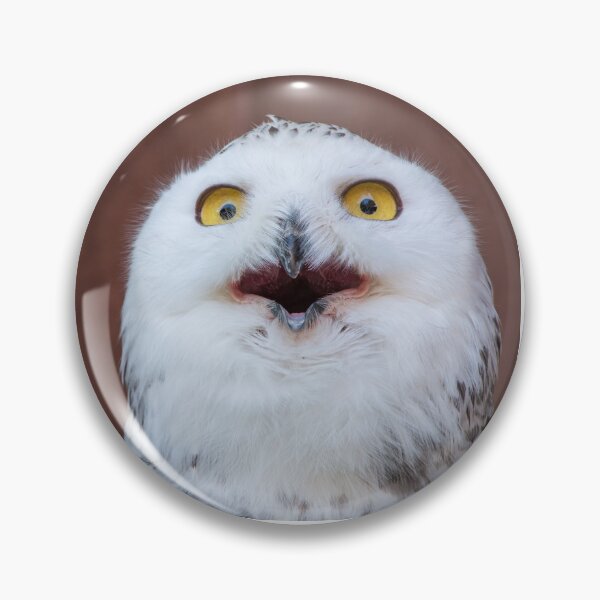 Item preview, Cute White Owl Funny Shocked Face Sticker Bag Gift Men Womens Kids  designed and sold by Talia  Jones.