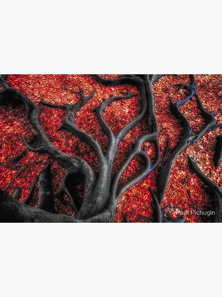 Red Roots by paulmp