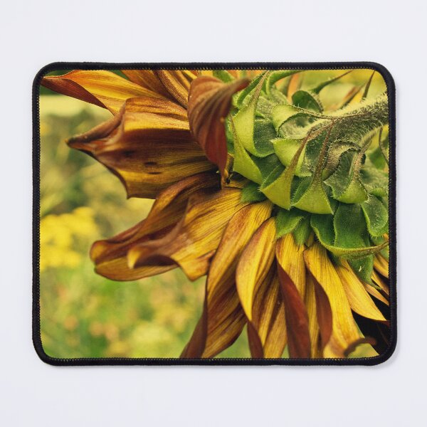 Item preview, Morning Sunflower designed and sold by moor2sea.