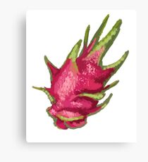Pitahaya Canvas Print