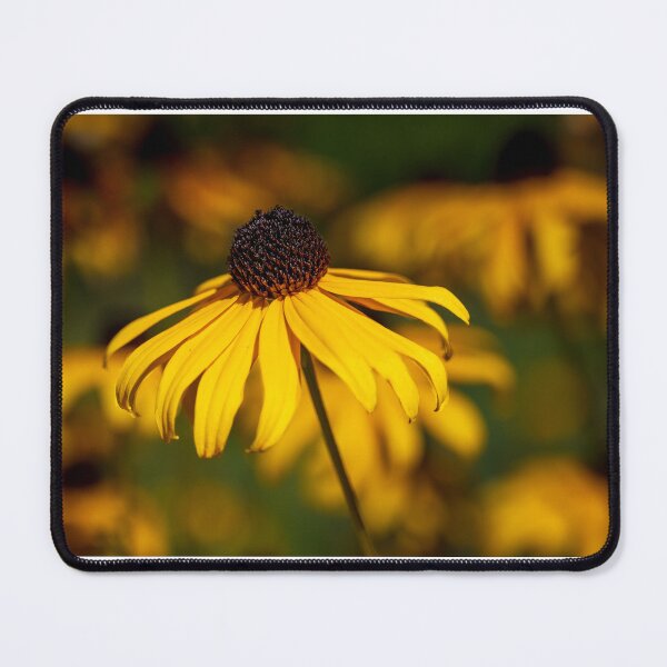 Item preview, Echinacea designed and sold by Spatane.