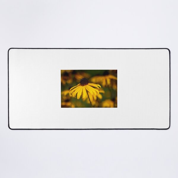Item preview, Echinacea designed and sold by Spatane.