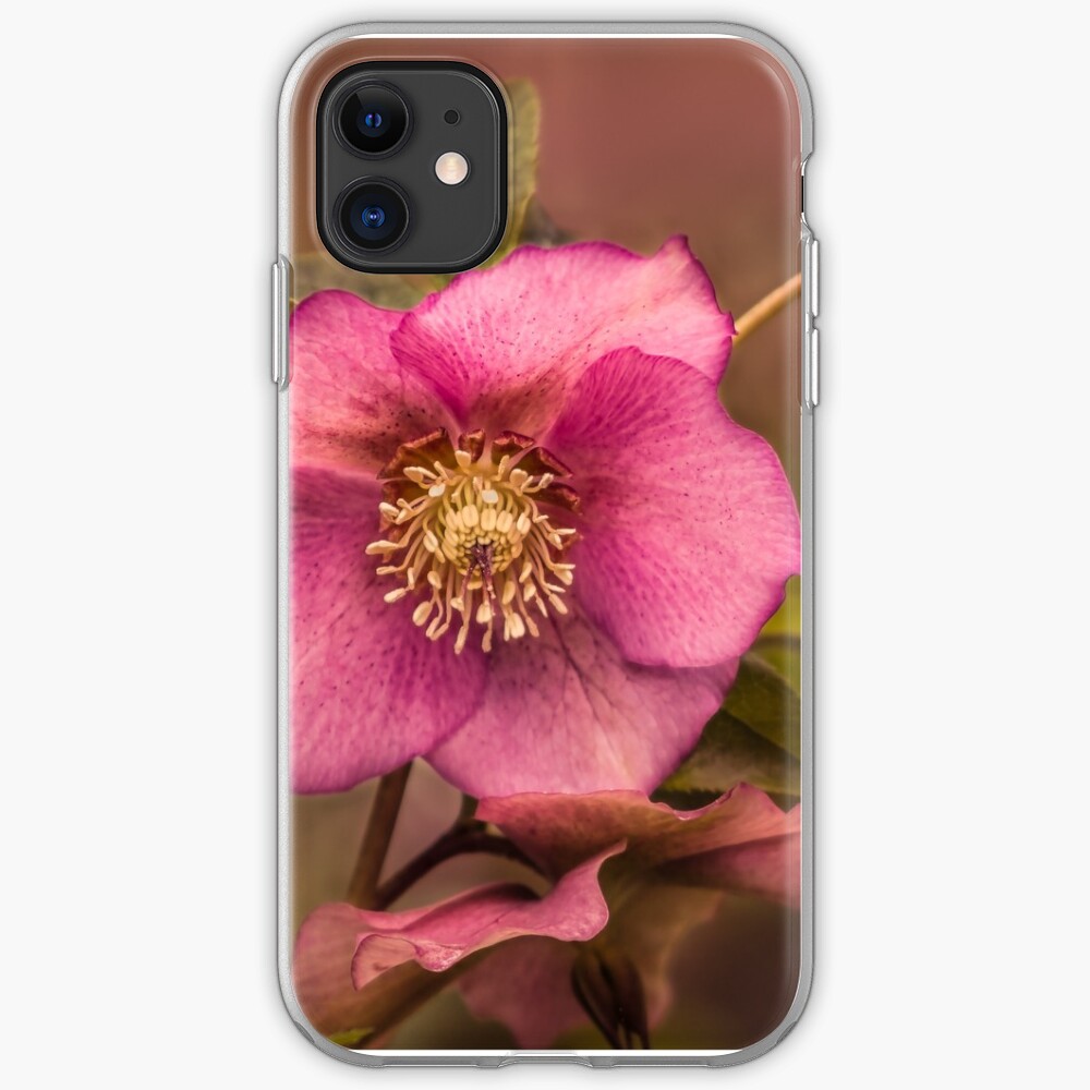 Christmas Rose iPhone Case & Cover