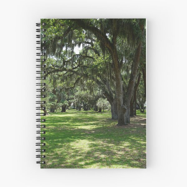 Item preview, Live Oak with Spanish Moss designed and sold by HCB1.
