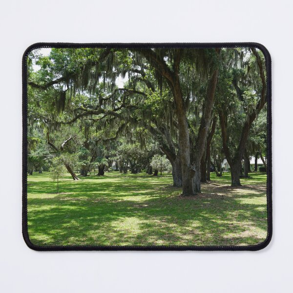 Item preview, Live Oak with Spanish Moss designed and sold by HCB1.