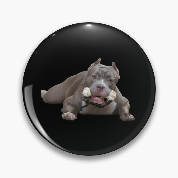 Artikelvorschau, Pitbull-Hundeliebhaber, lustiger Pitbull entworfen und verkauft von The Love Quill.