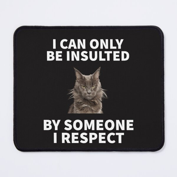 Item preview, I CAN ONLY BE INSULTED BY SOMEONE I RESPECT designed and sold by TechLaughs.