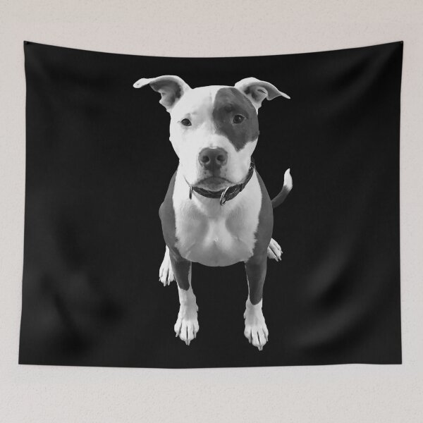 Item preview, Pitbull Dog Lover, Funny Pitbull designed and sold by The Love Quill.