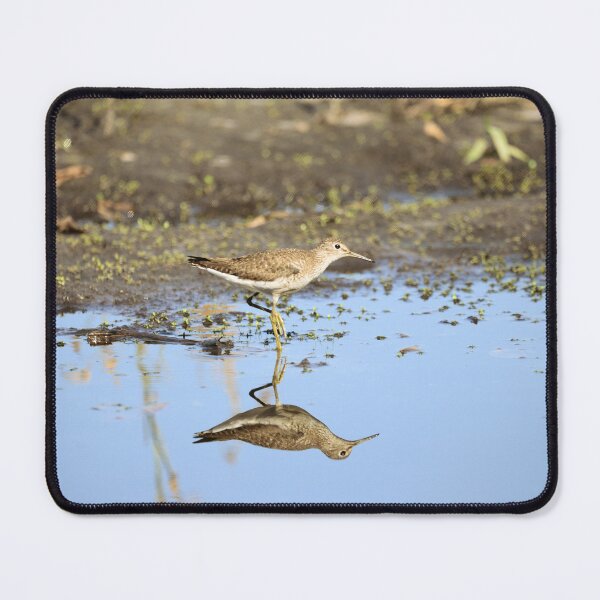 Item preview, A Pectoral Sandpiper Reflection designed and sold by Jeff Ore.
