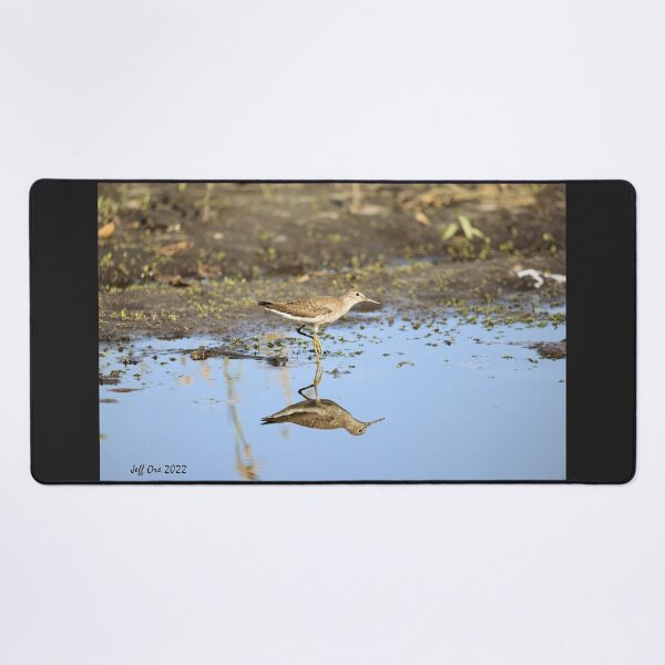 Item preview, A Pectoral Sandpiper Reflection designed and sold by Jeff Ore.