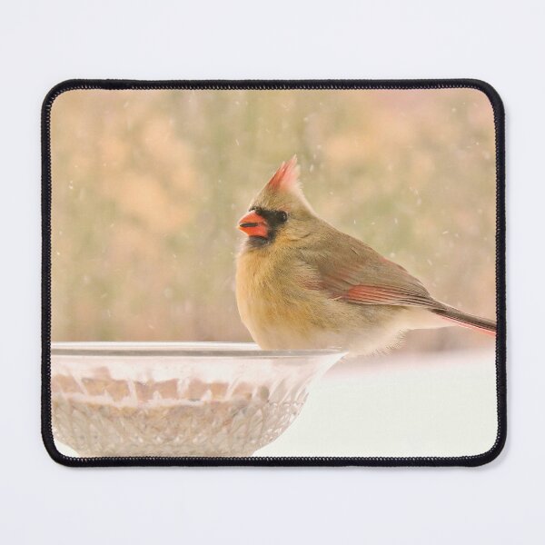 Item preview, Cardinal No.1 designed and sold by MaryLinH.