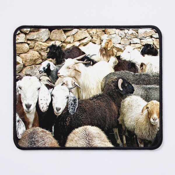 Item preview, Domestic Goats Heard Group Portrait designed and sold by worldways.