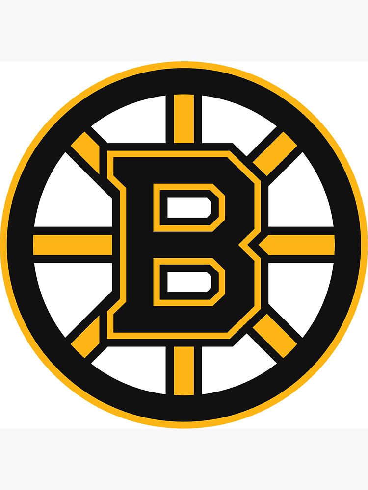 Boston Red Sox Patriots Bruins Celtics Mascot Collage Champs Logo Die-Cut  MAGNET