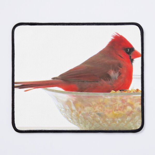 Item preview, Cardinal No.4 designed and sold by MaryLinH.