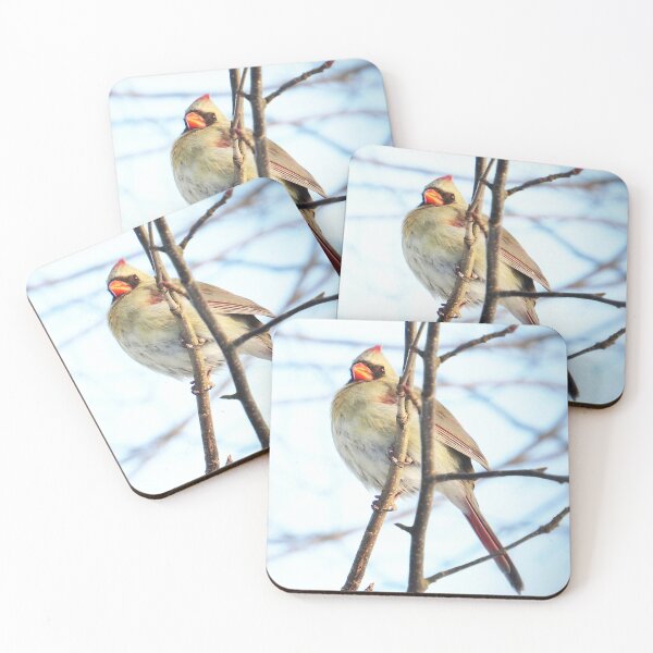 Item preview, Cardinal No.5 designed and sold by MaryLinH.