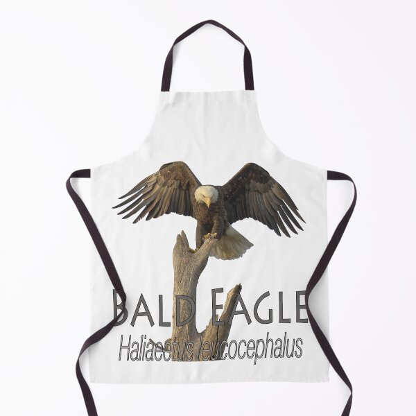 Item preview, Bald eagle designed and sold by The Sleepy Monito.