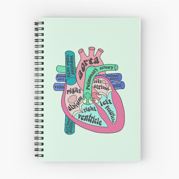 Item preview, Anatomical heart  designed and sold by Preslava Genova.