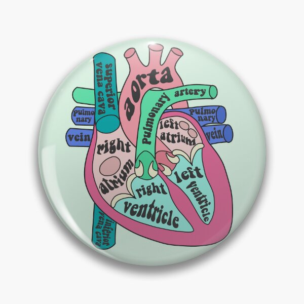 Item preview, Anatomical heart  designed and sold by Preslava Genova.