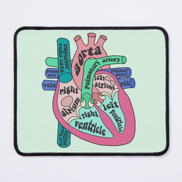 Item preview, Anatomical heart  designed and sold by Preslava Genova.