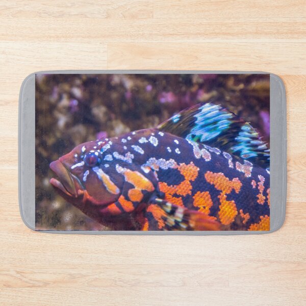 Item preview, USA. Alaska. Seward. Alaska SeaLife Center. Colorful Fish. designed and sold by vadim19.