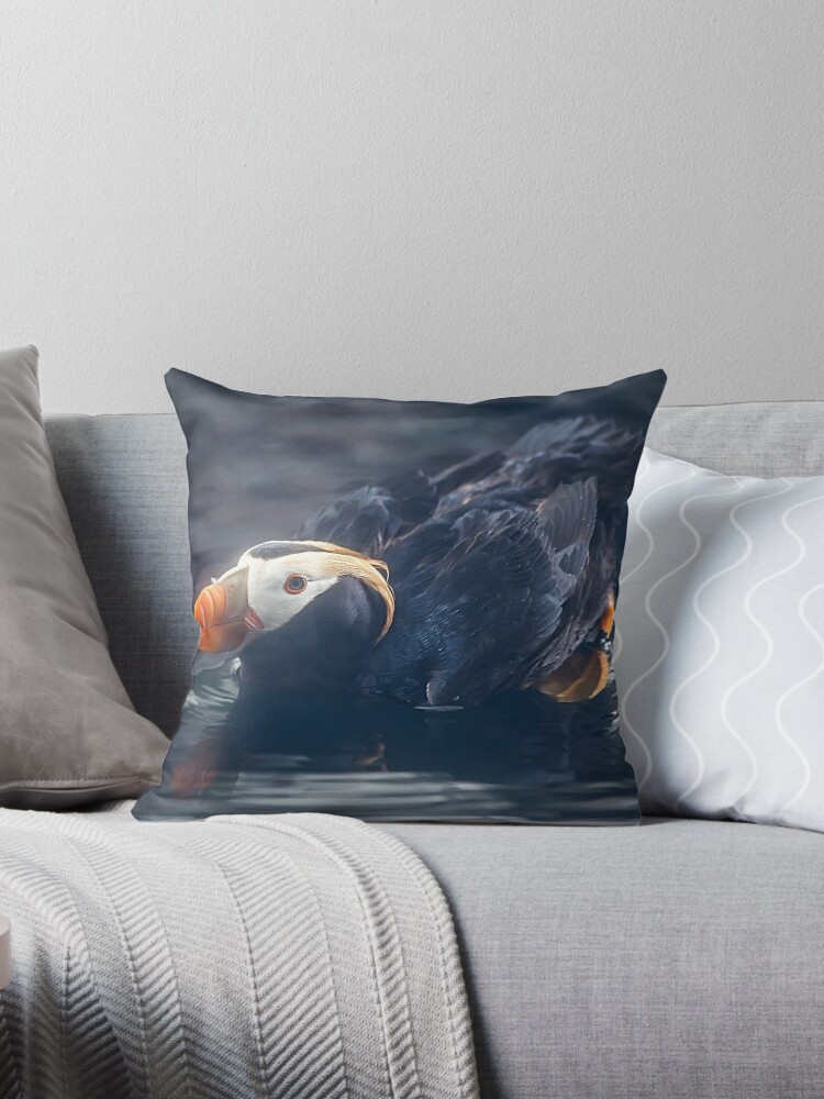 https://ih1.redbubble.net/image.4770424722.7785/throwpillow,small,750x1000-bg,f8f8f8.jpg