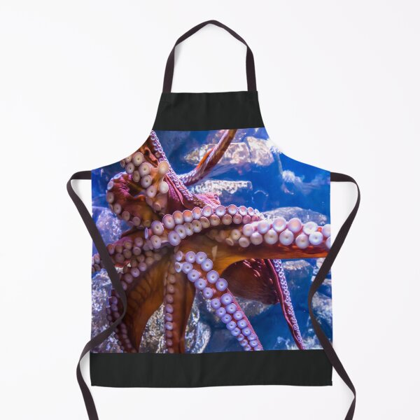Item preview, USA. Alaska. Seward. Alaska SeaLife Center. Octopus. designed and sold by vadim19.