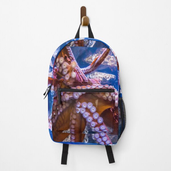 Item preview, USA. Alaska. Seward. Alaska SeaLife Center. Octopus. designed and sold by vadim19.