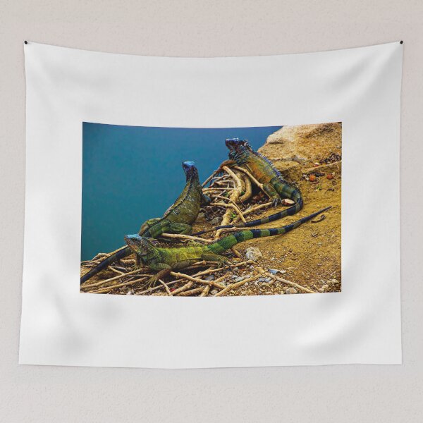 Item preview, Iguanas In Montanita, Ecuador designed and sold by alabca.