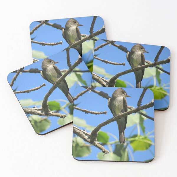 Item preview, Eastern Wood-Pewee No.1 designed and sold by MaryLinH.
