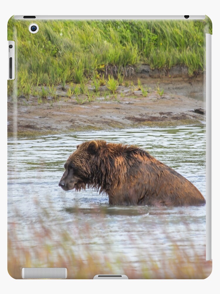 Brown Bears - Alaska Wildlife Conservation Center