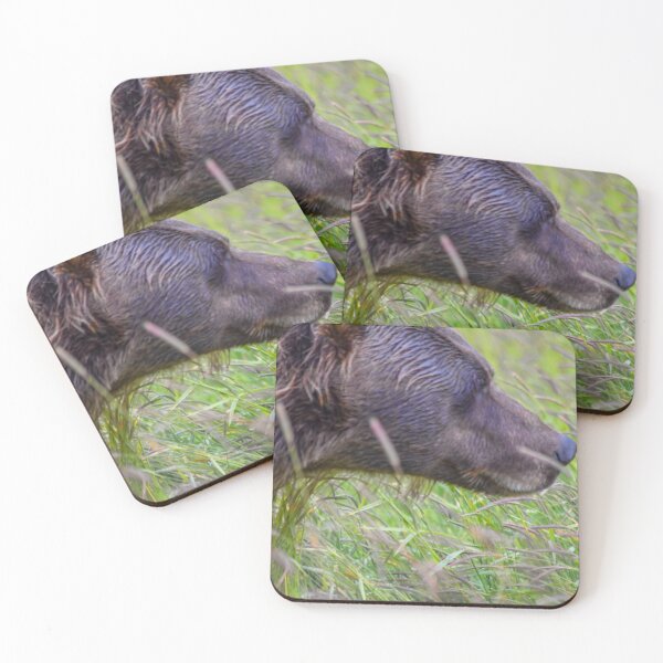 Item preview, USA. Alaska. Alaska Wildlife Conservation Center. Brown Bear. designed and sold by vadim19.