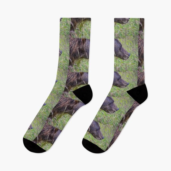 Item preview, USA. Alaska. Alaska Wildlife Conservation Center. Brown Bear. designed and sold by vadim19.