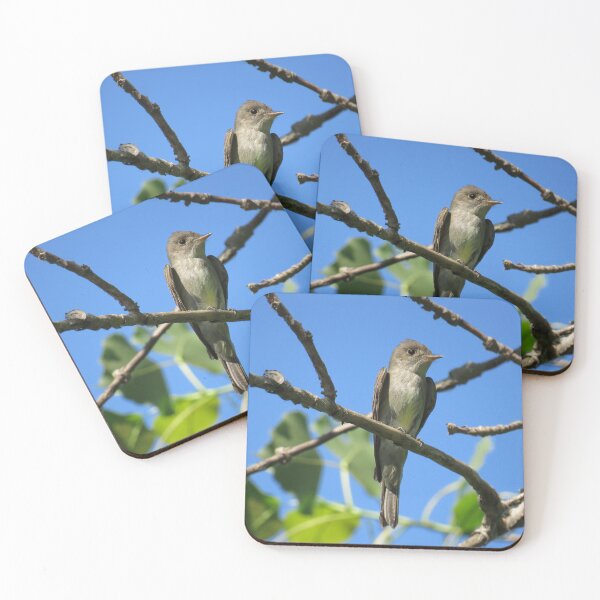 Item preview, Eastern Wood-Pewee No.2 designed and sold by MaryLinH.