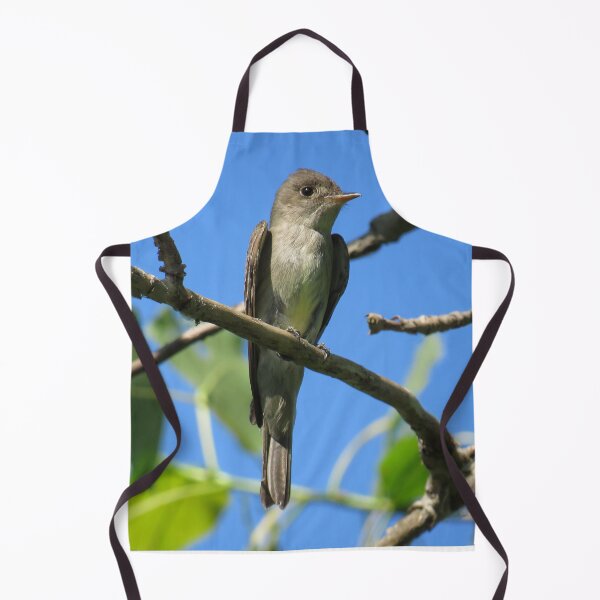 Artikelvorschau, Eastern Wood-Pewee No.2 entworfen und verkauft von MaryLinH.