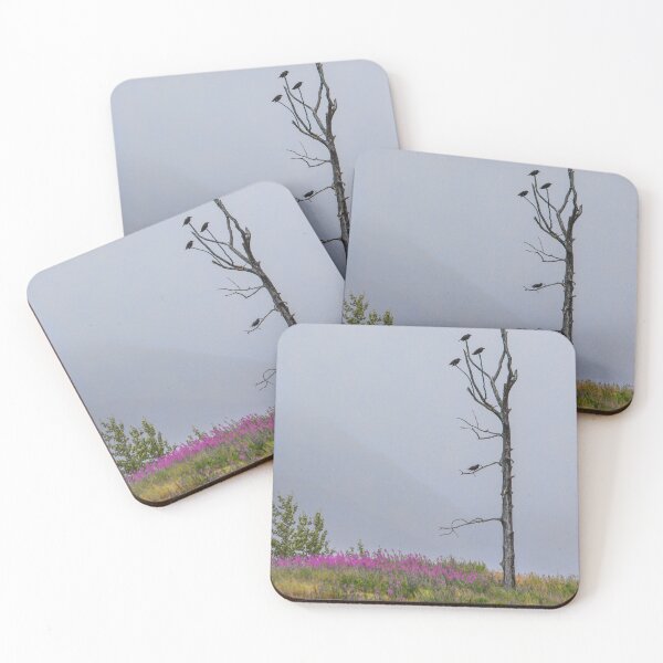 Item preview, USA. Alaska. Alaska Wildlife Conservation Center. Crows. designed and sold by vadim19.